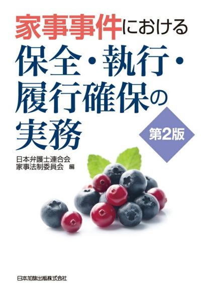 家事事件における保全・執行・履行確保の実務 第２版